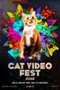 CatVideoFest 2022 (2022) Thumbnail