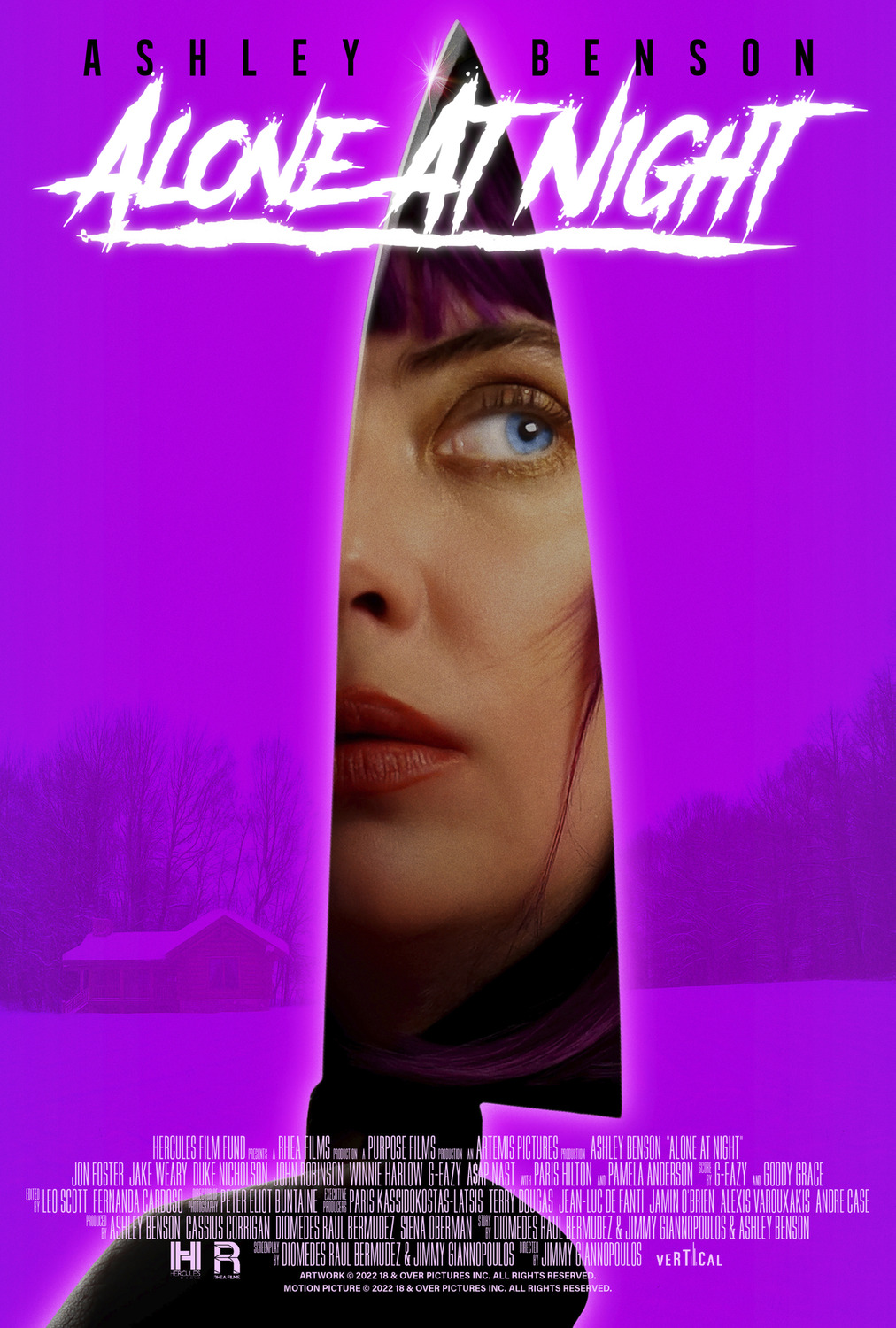 Extra Large Movie Poster Image for Alone at Night 