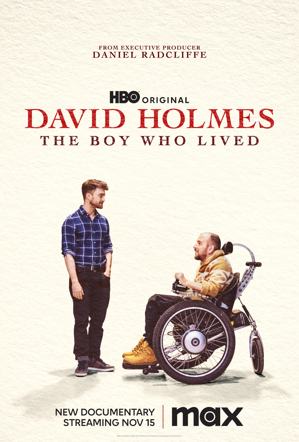 Extra Large Movie Poster Image for David Holmes: The Boy Who Lived 