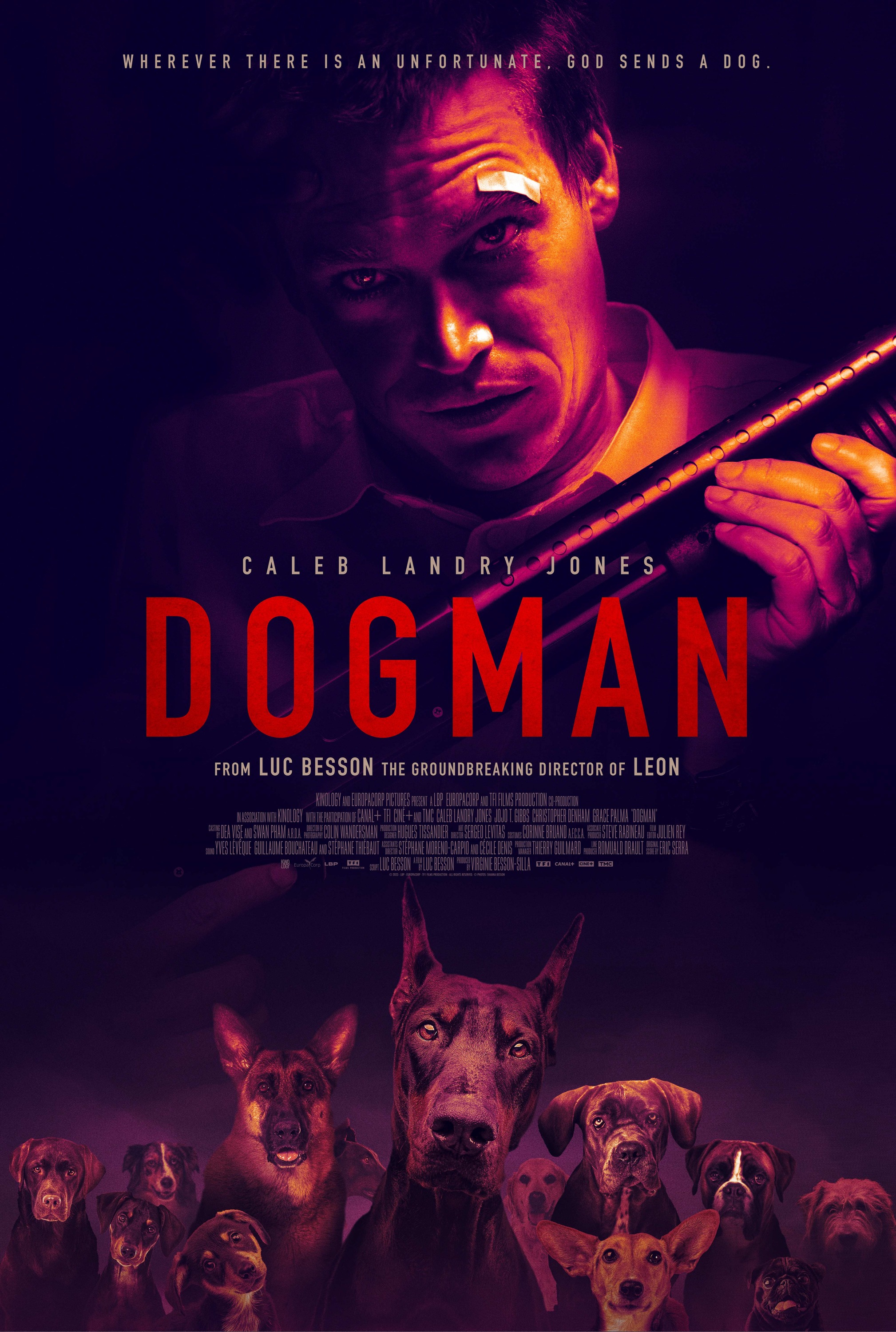 Mega Sized Movie Poster Image for DogMan (#10 of 10)