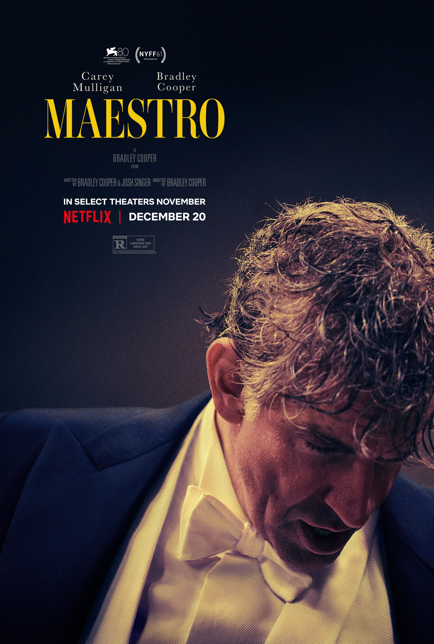 Mega Sized Movie Poster Image for Maestro (#2 of 4)