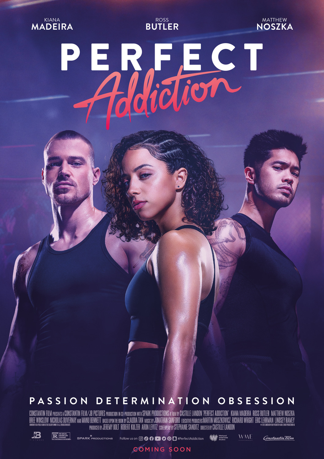 Extra Large Movie Poster Image for Perfect Addiction (#2 of 3)