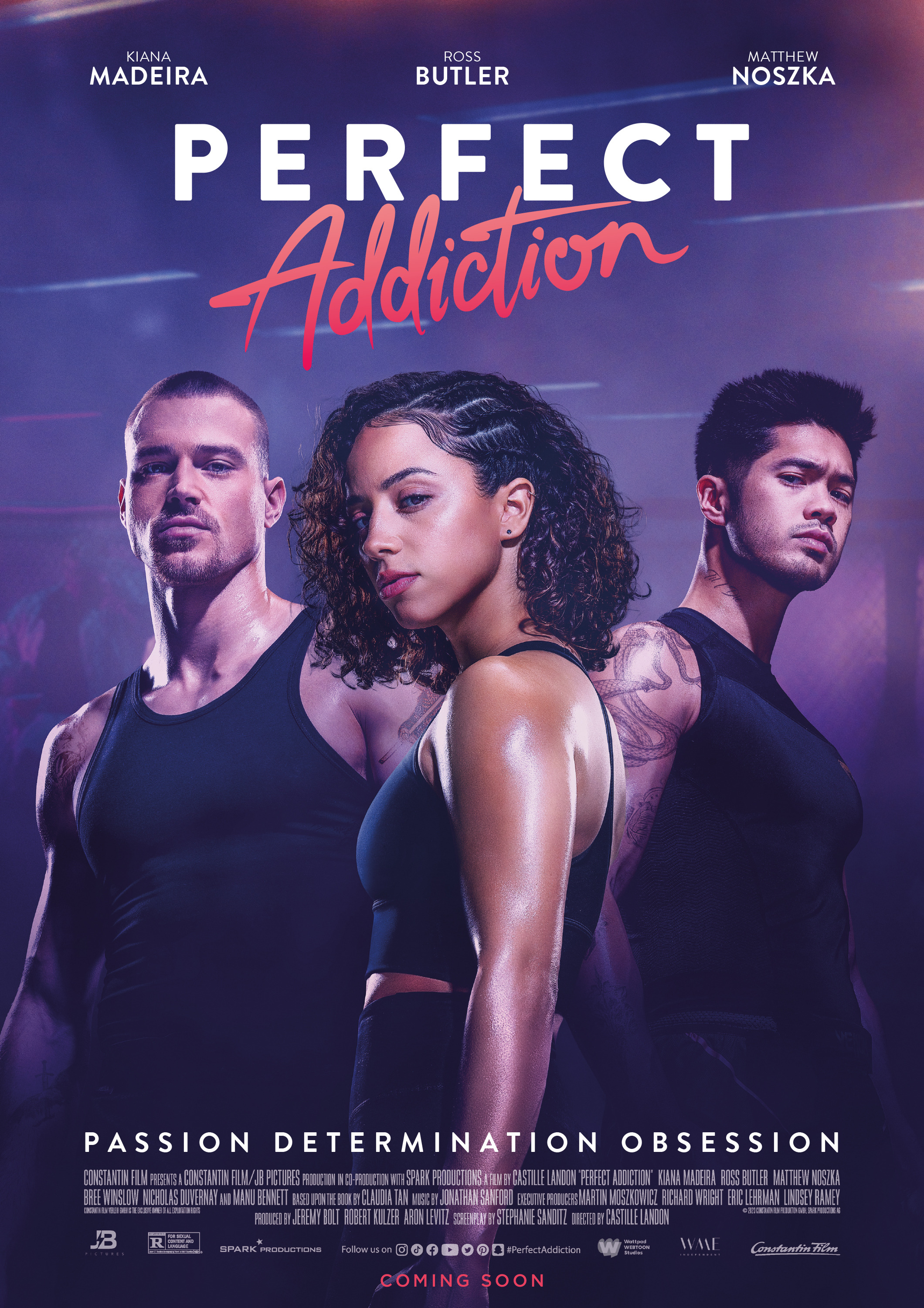 Mega Sized Movie Poster Image for Perfect Addiction (#2 of 3)