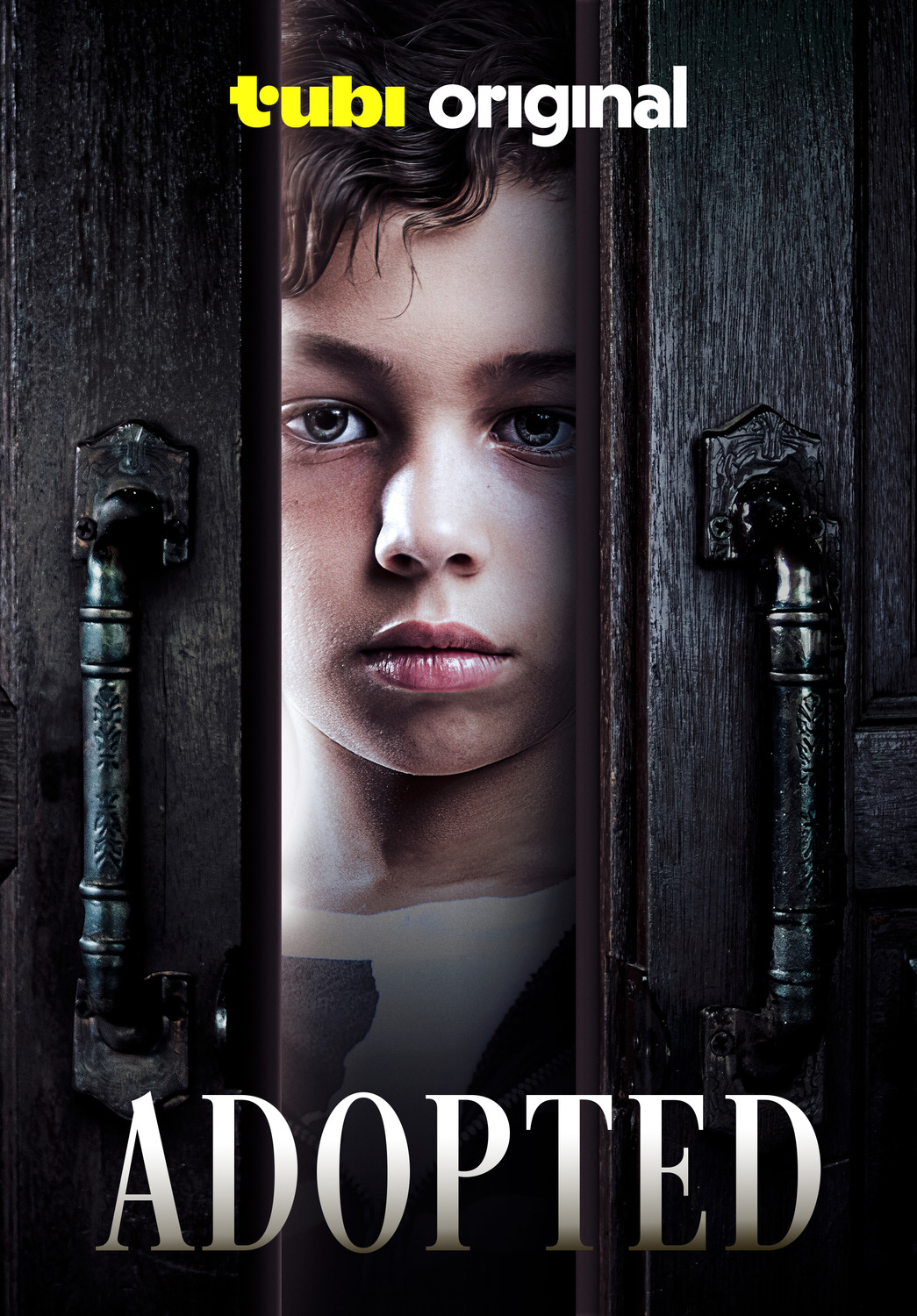 Extra Large Movie Poster Image for Adopted 