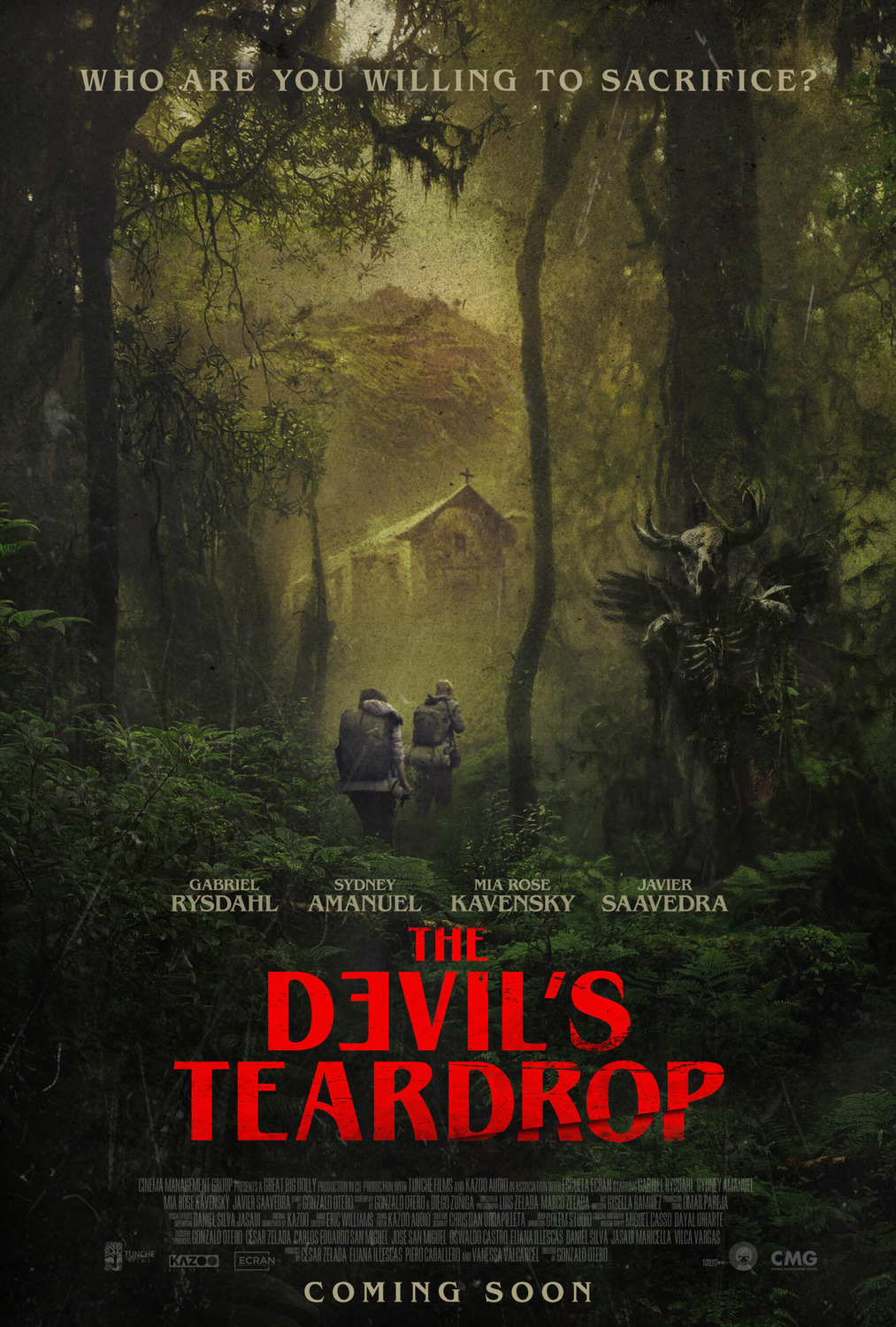 Extra Large Movie Poster Image for The Devil's Teardrop 