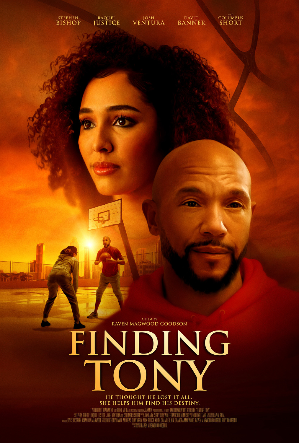 Extra Large Movie Poster Image for Finding Tony 
