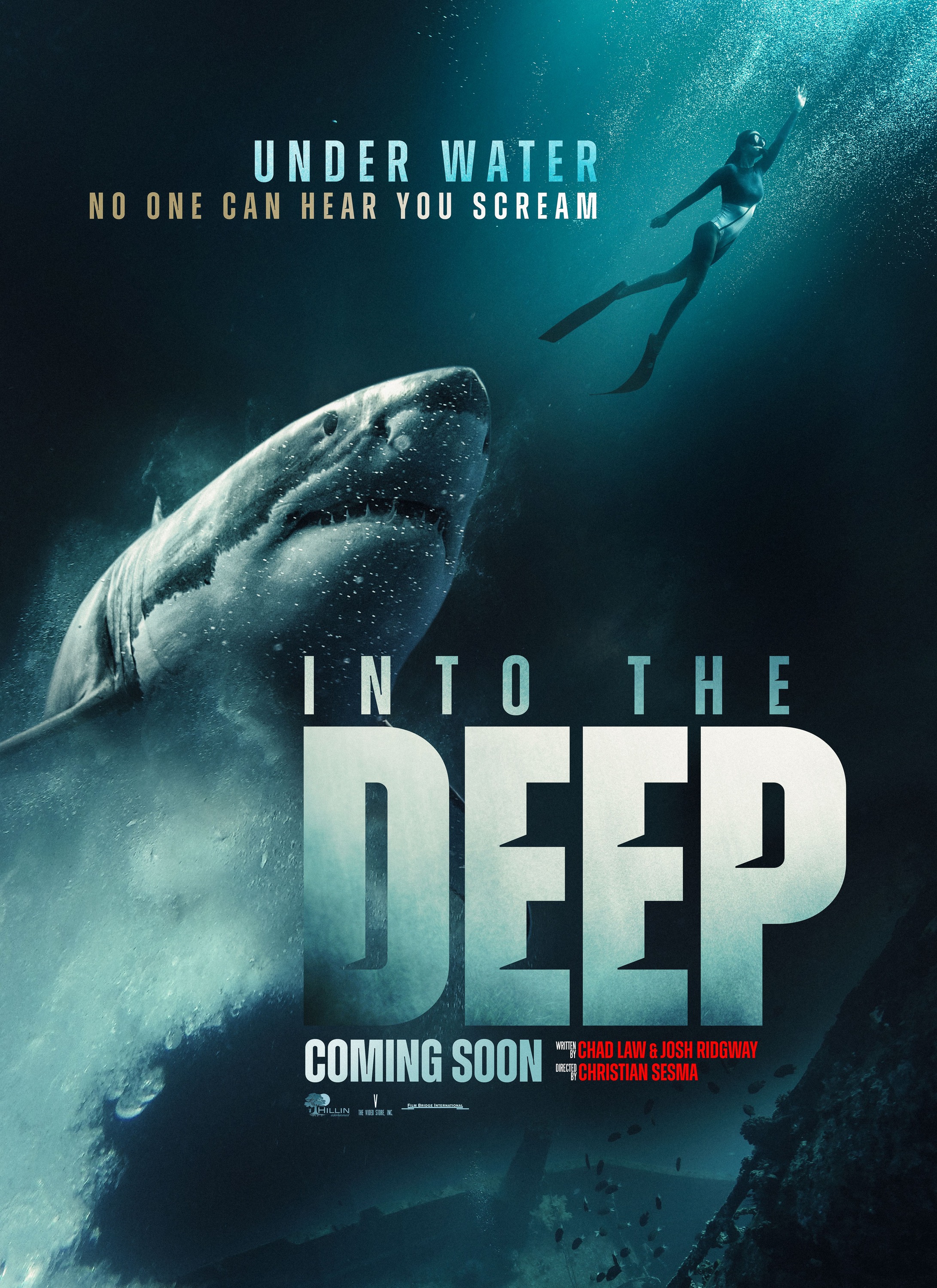 Mega Sized Movie Poster Image for Into the Deep 