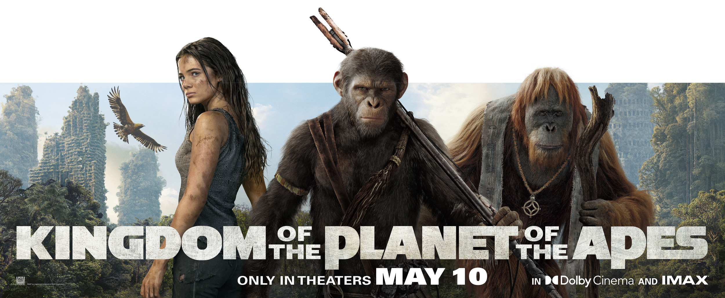 Mega Sized Movie Poster Image for Kingdom of the Planet of the Apes (#21 of 22)