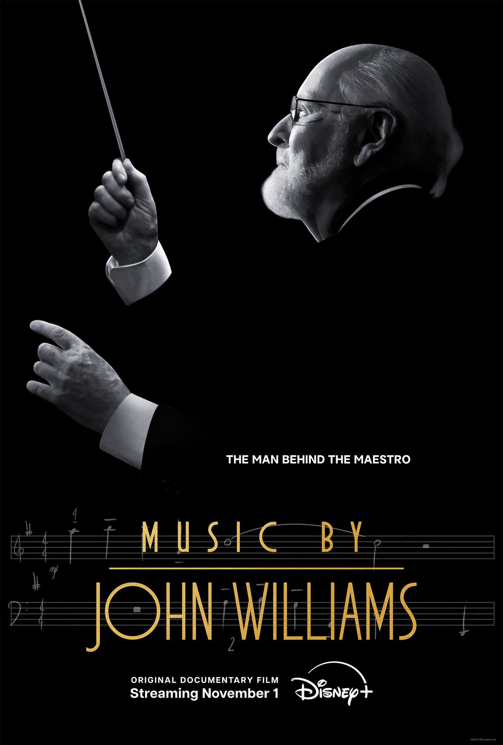 Extra Large Movie Poster Image for Music by John Williams 