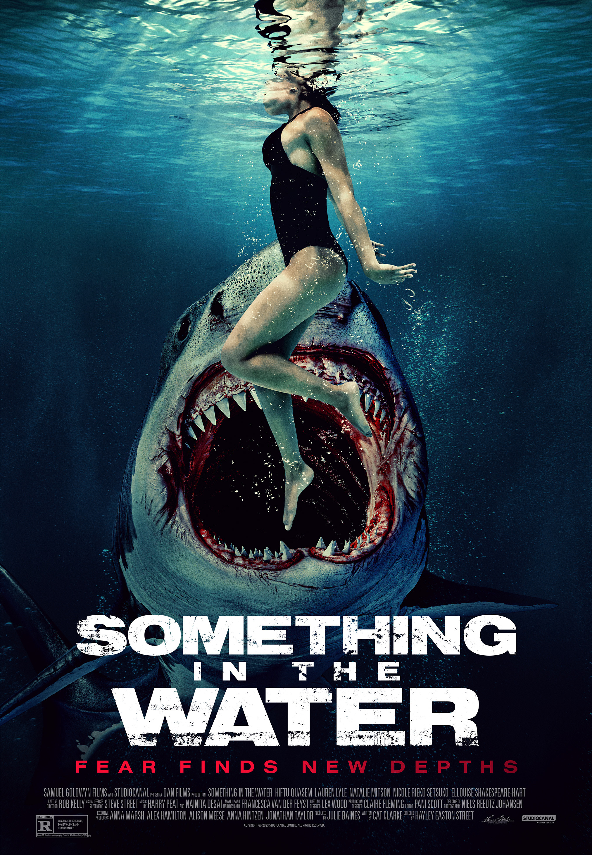 Mega Sized Movie Poster Image for Something in the Water (#2 of 2)