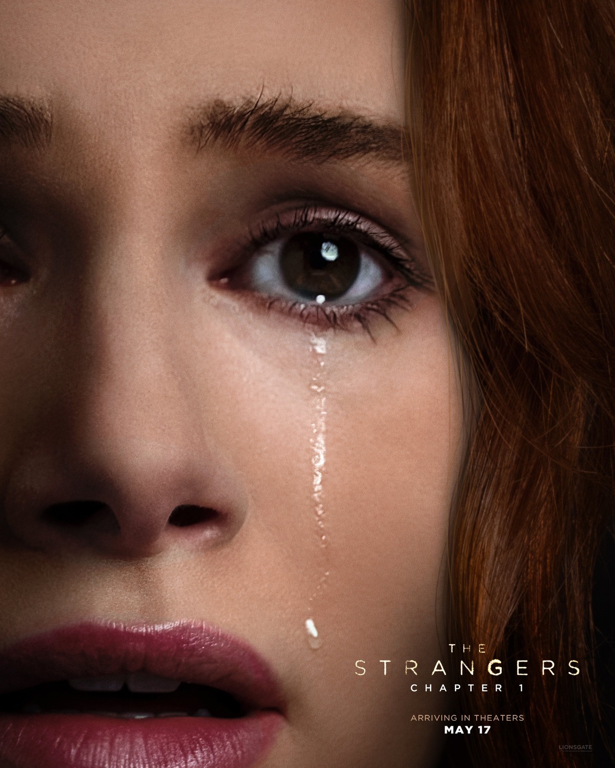 Extra Large Movie Poster Image for The Strangers: Chapter 1 (#8 of 10)