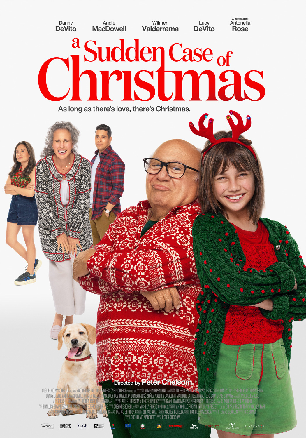 Extra Large Movie Poster Image for A Sudden Case of Christmas 