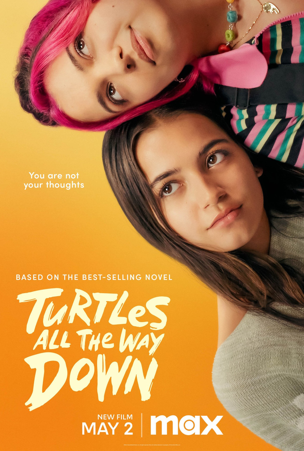 Extra Large Movie Poster Image for Turtles All the Way Down (#1 of 2)