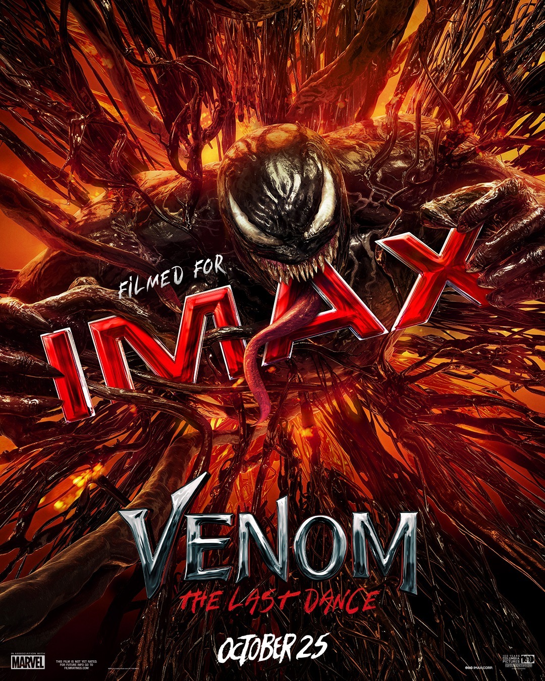 Extra Large Movie Poster Image for Venom: The Last Dance (#4 of 19)