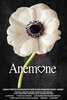 Anemone (2024) Thumbnail