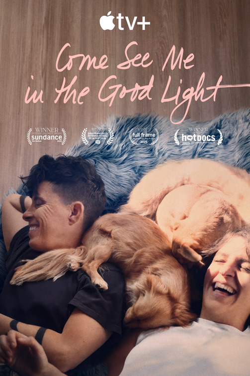 Come See Me in the Good Light Movie Poster