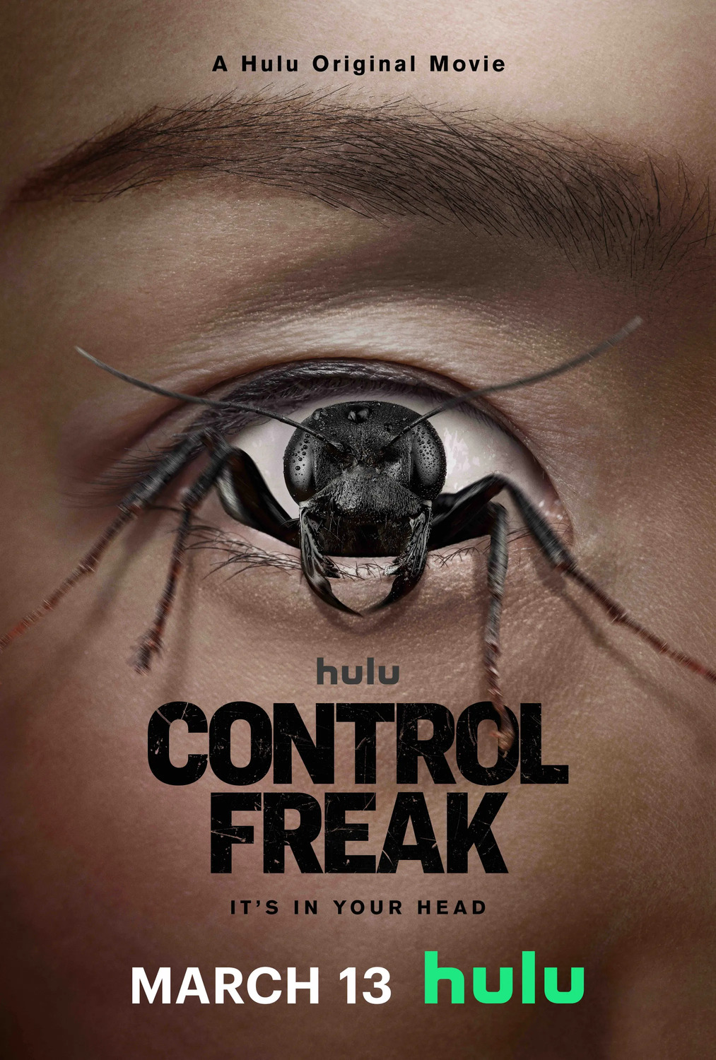 Extra Large Movie Poster Image for Control Freak 