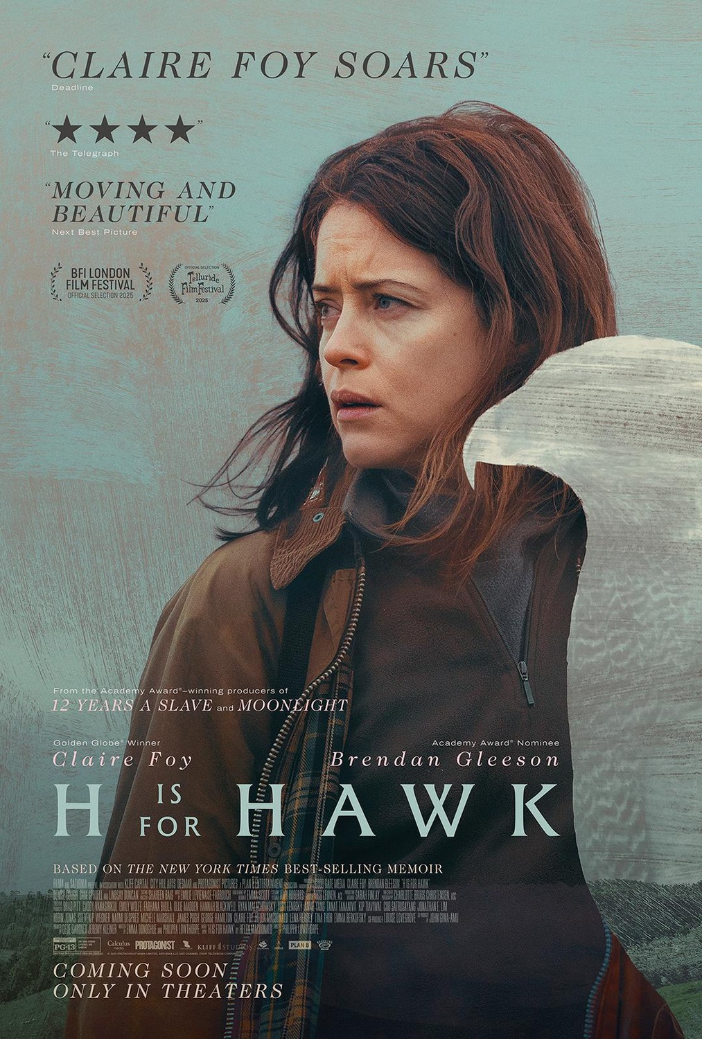 Extra Large Movie Poster Image for H Is for Hawk (#2 of 2)