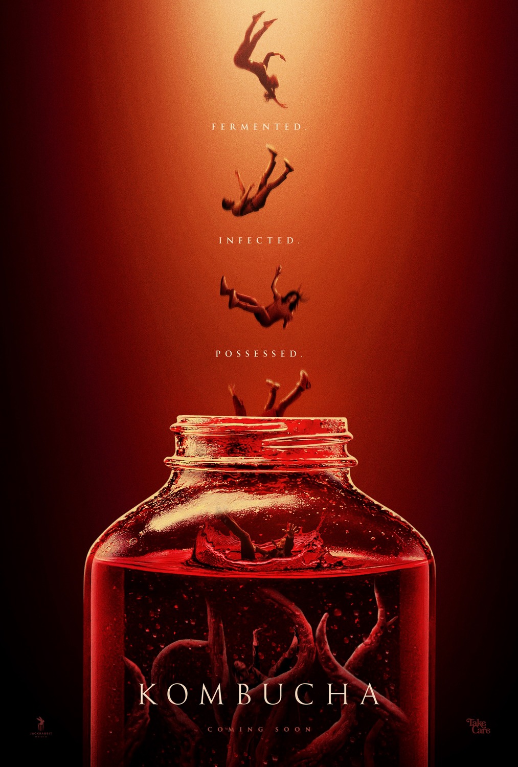 Extra Large Movie Poster Image for Kombucha 