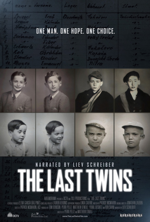 The Last Twins Movie Poster