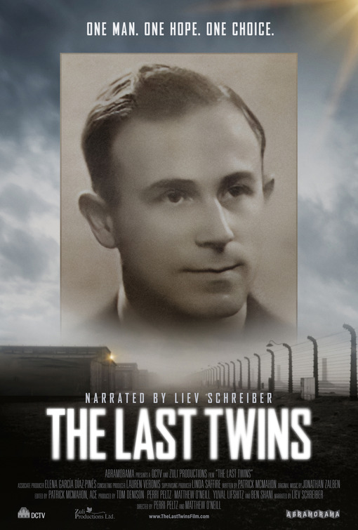 The Last Twins Movie Poster