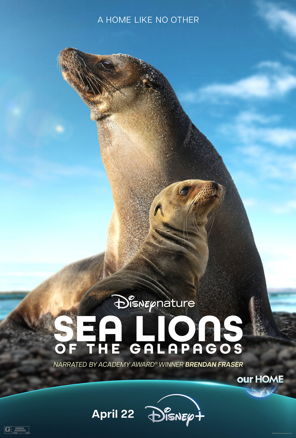 Extra Large Movie Poster Image for Sea Lions of the Galapagos 