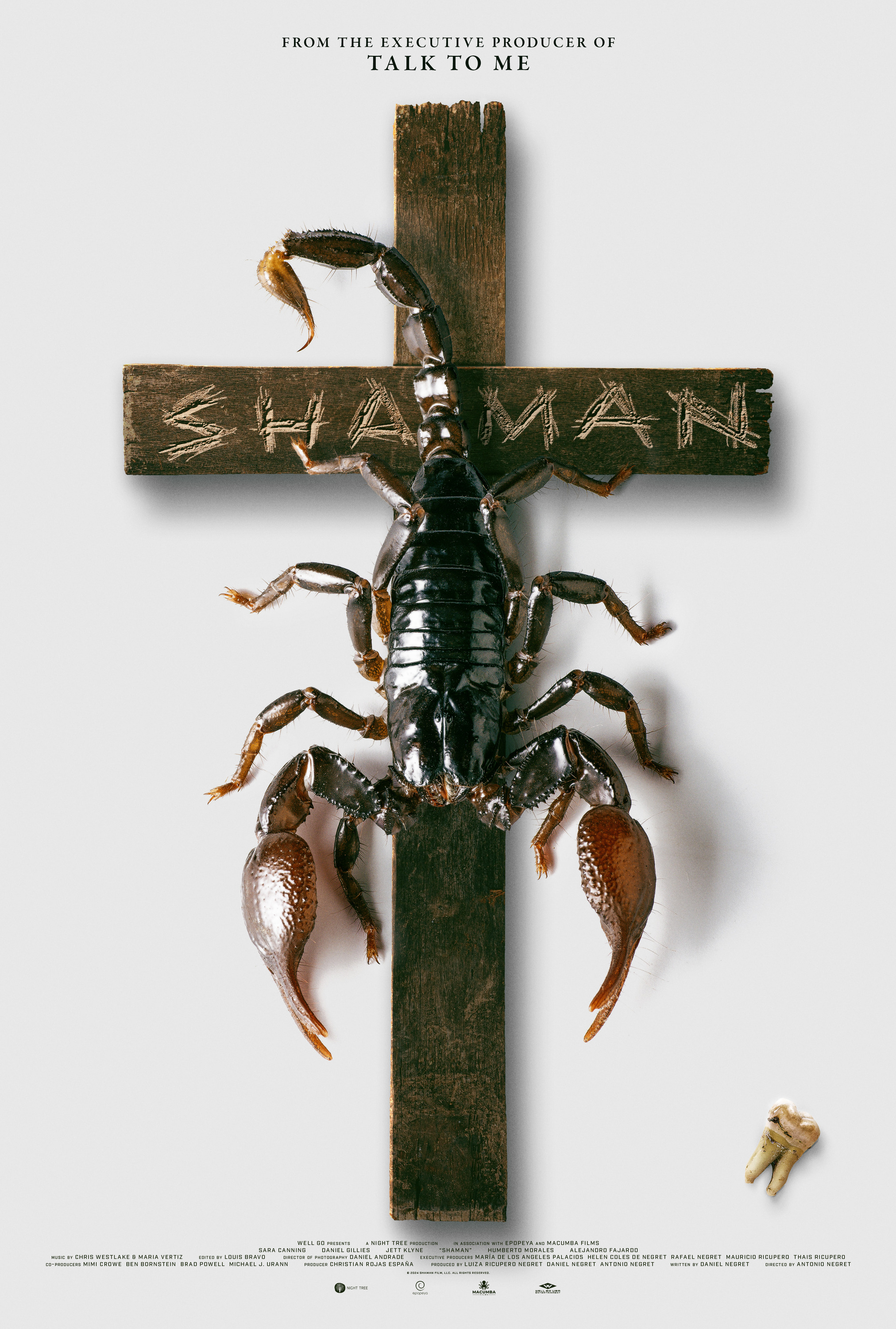 Mega Sized Movie Poster Image for Shaman (#4 of 4)