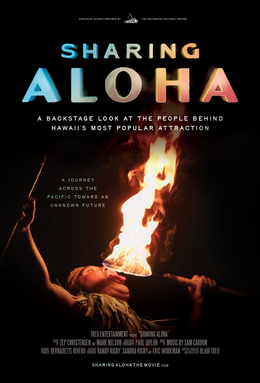 Extra Large Movie Poster Image for Sharing Aloha 