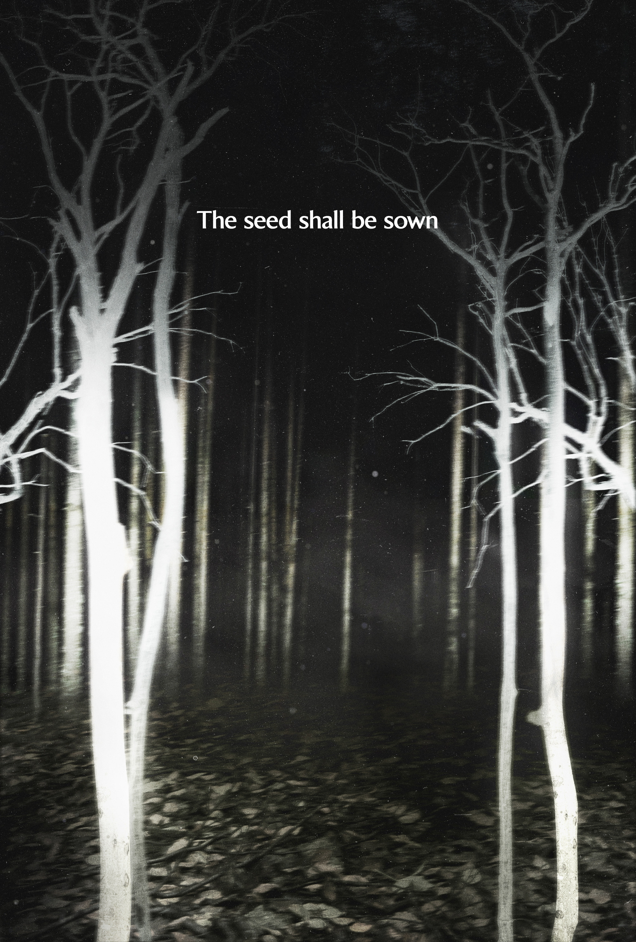 Mega Sized Movie Poster Image for Shelby Oaks (#5 of 7)
