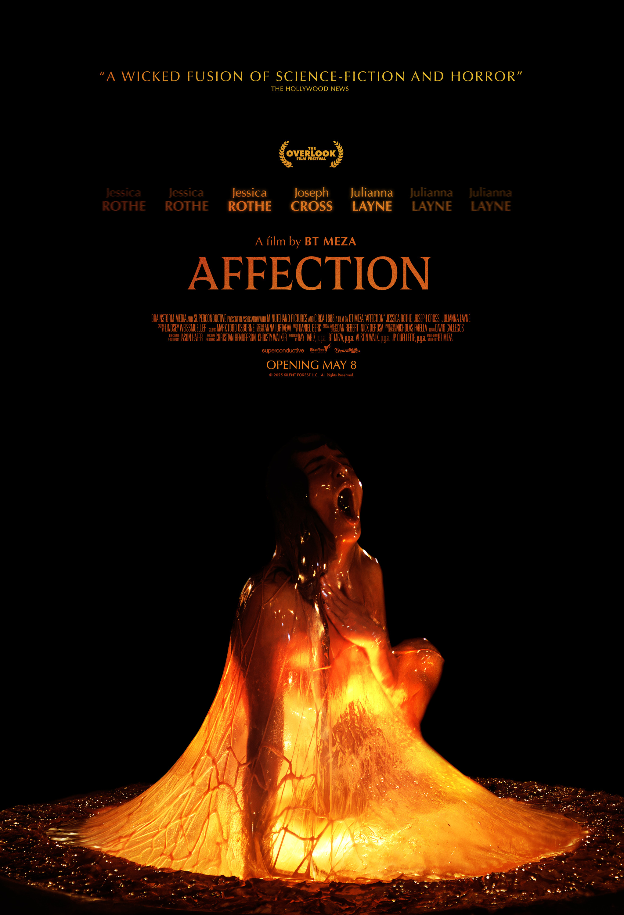 Mega Sized Movie Poster Image for Affection 