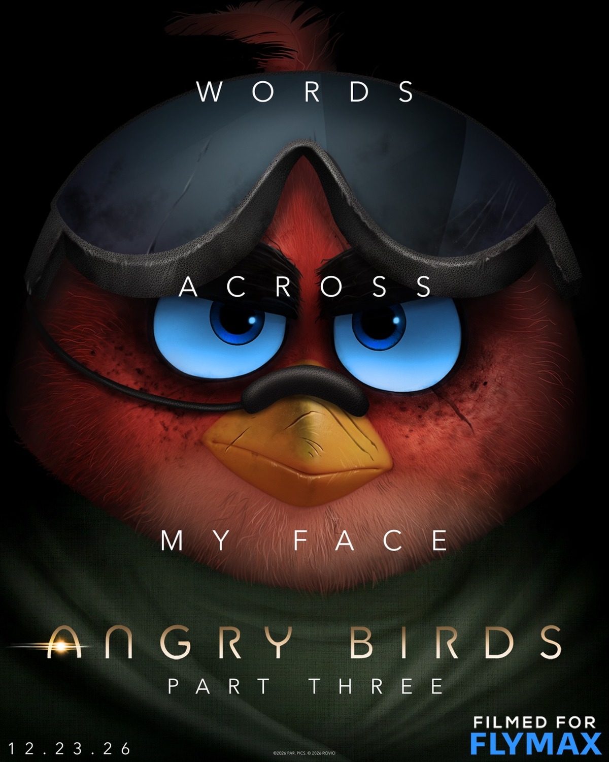 Extra Large Movie Poster Image for The Angry Birds Movie 3 (#3 of 4)