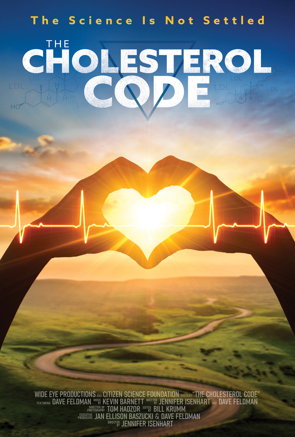 Extra Large Movie Poster Image for The Cholesterol Code (#2 of 2)