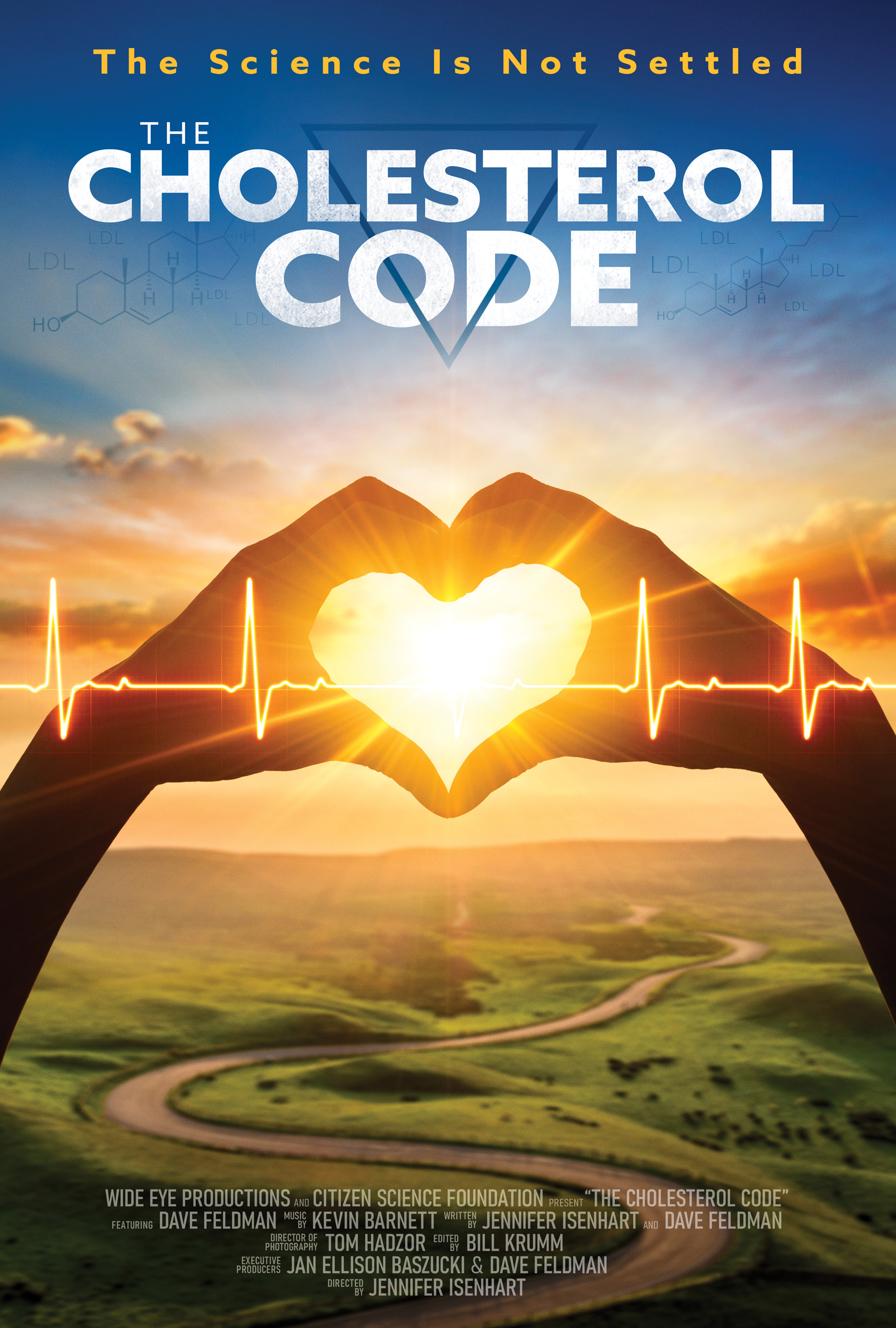 Mega Sized Movie Poster Image for The Cholesterol Code (#2 of 2)