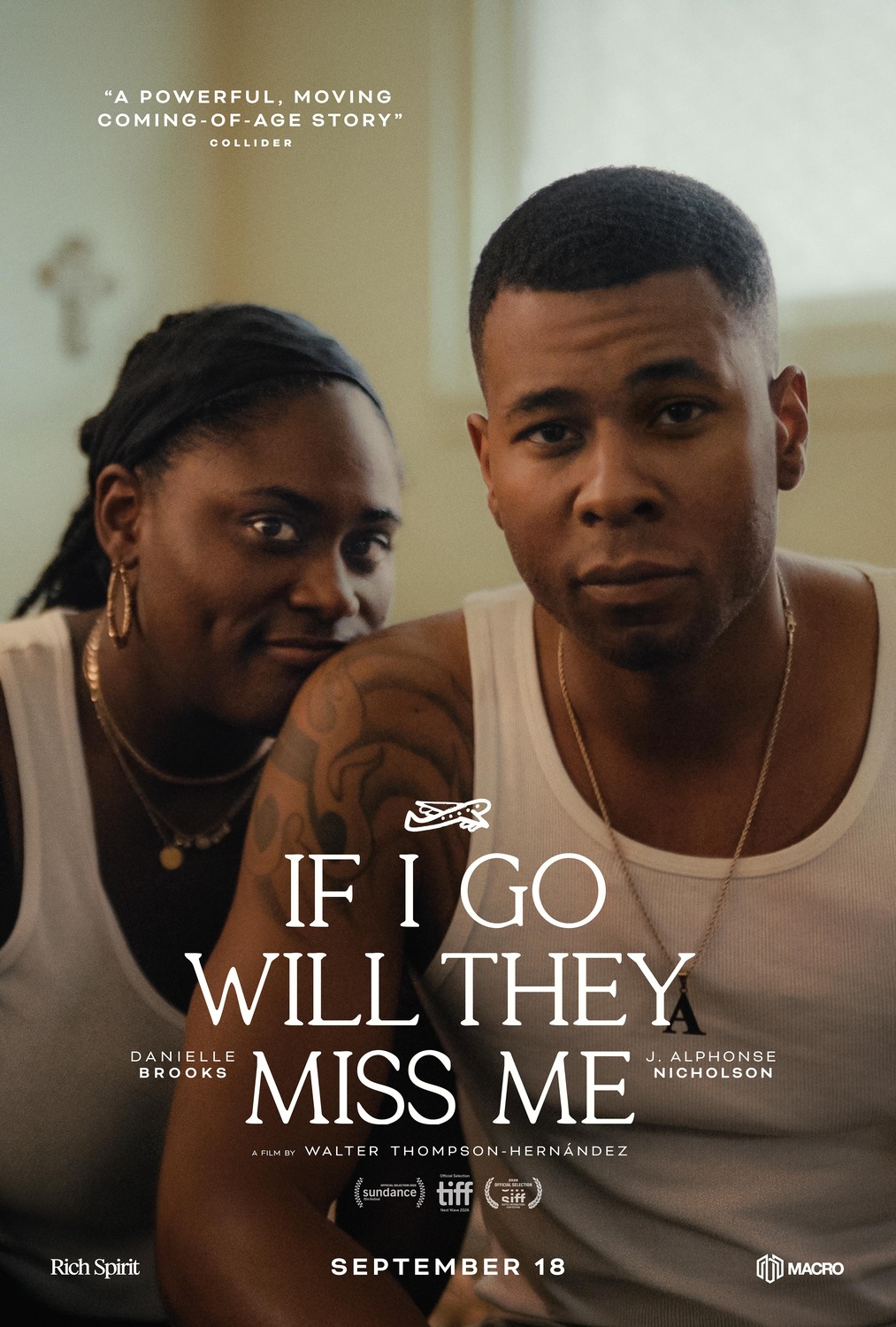 Extra Large Movie Poster Image for If I Go Will They Miss Me 