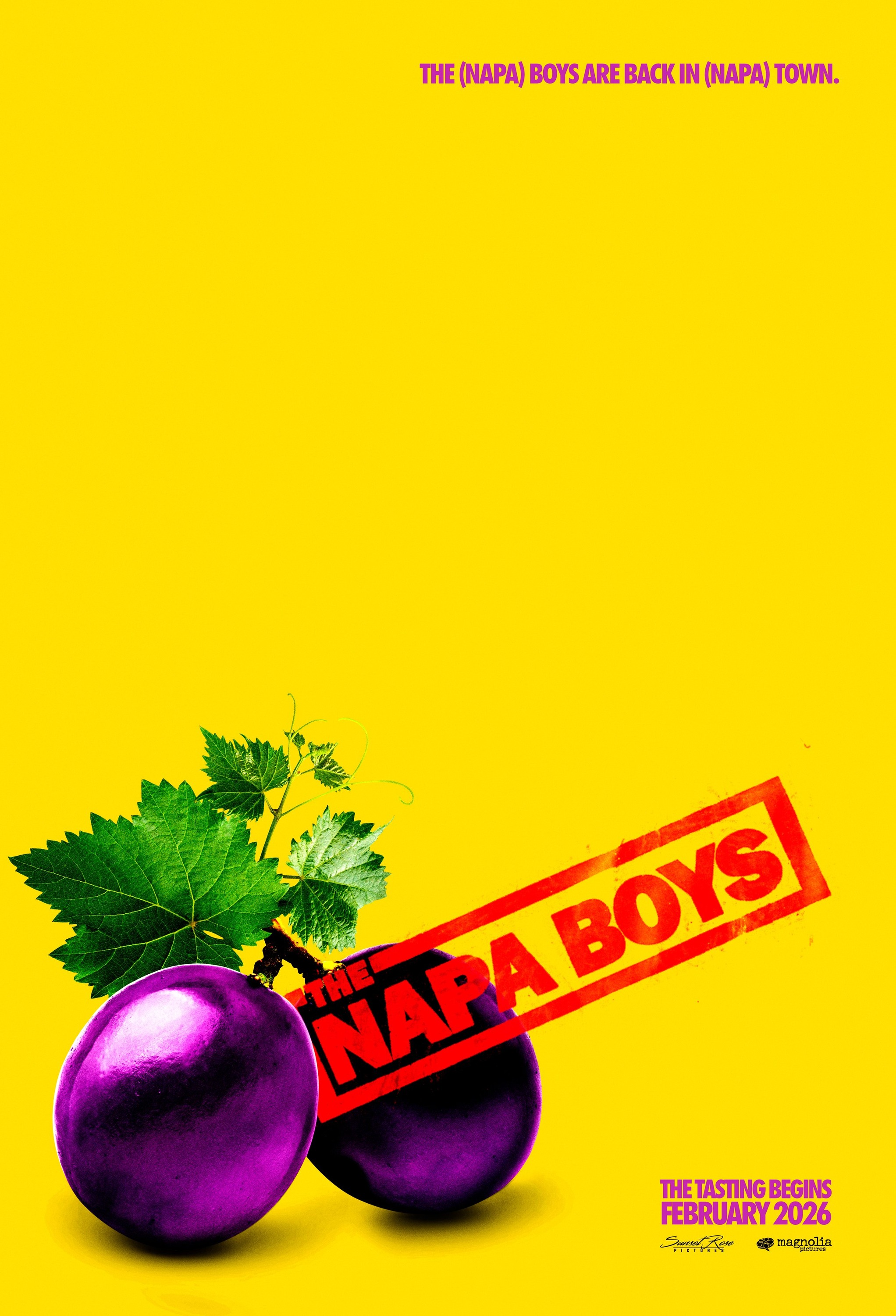 Mega Sized Movie Poster Image for The Napa Boys 