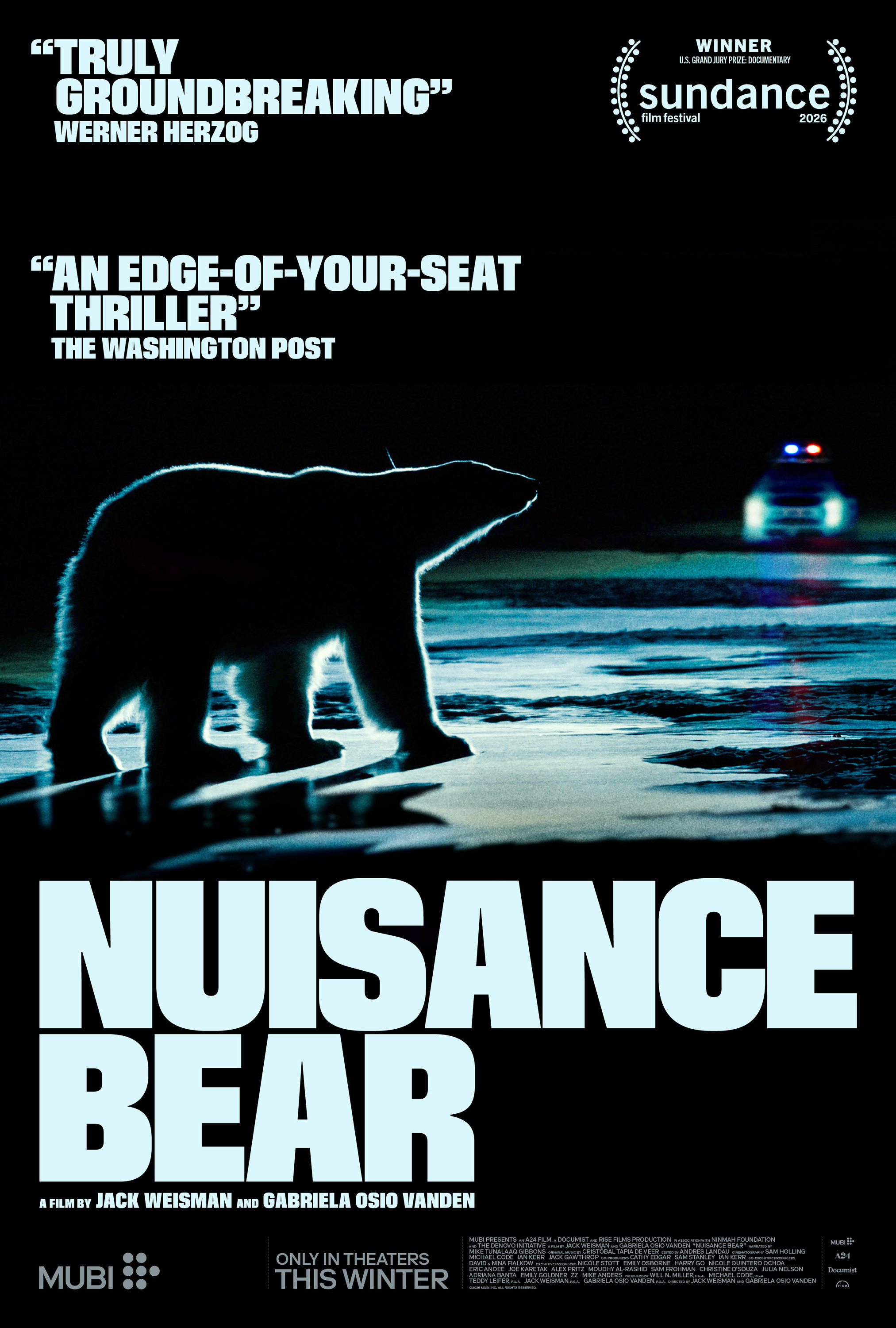 Mega Sized Movie Poster Image for Nuisance Bear 