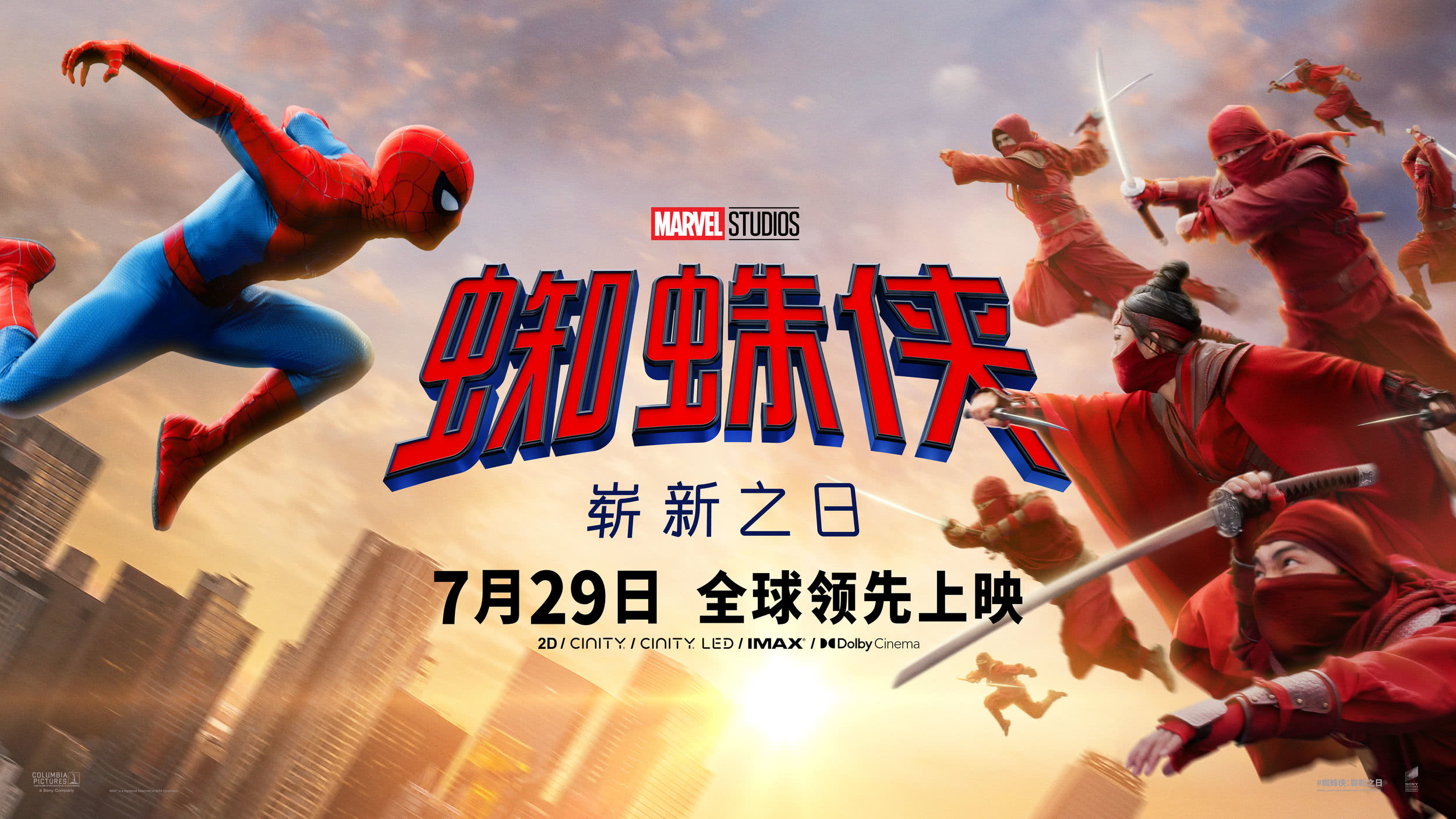 Mega Sized Movie Poster Image for Spider-Man: Brand New Day (#17 of 19)