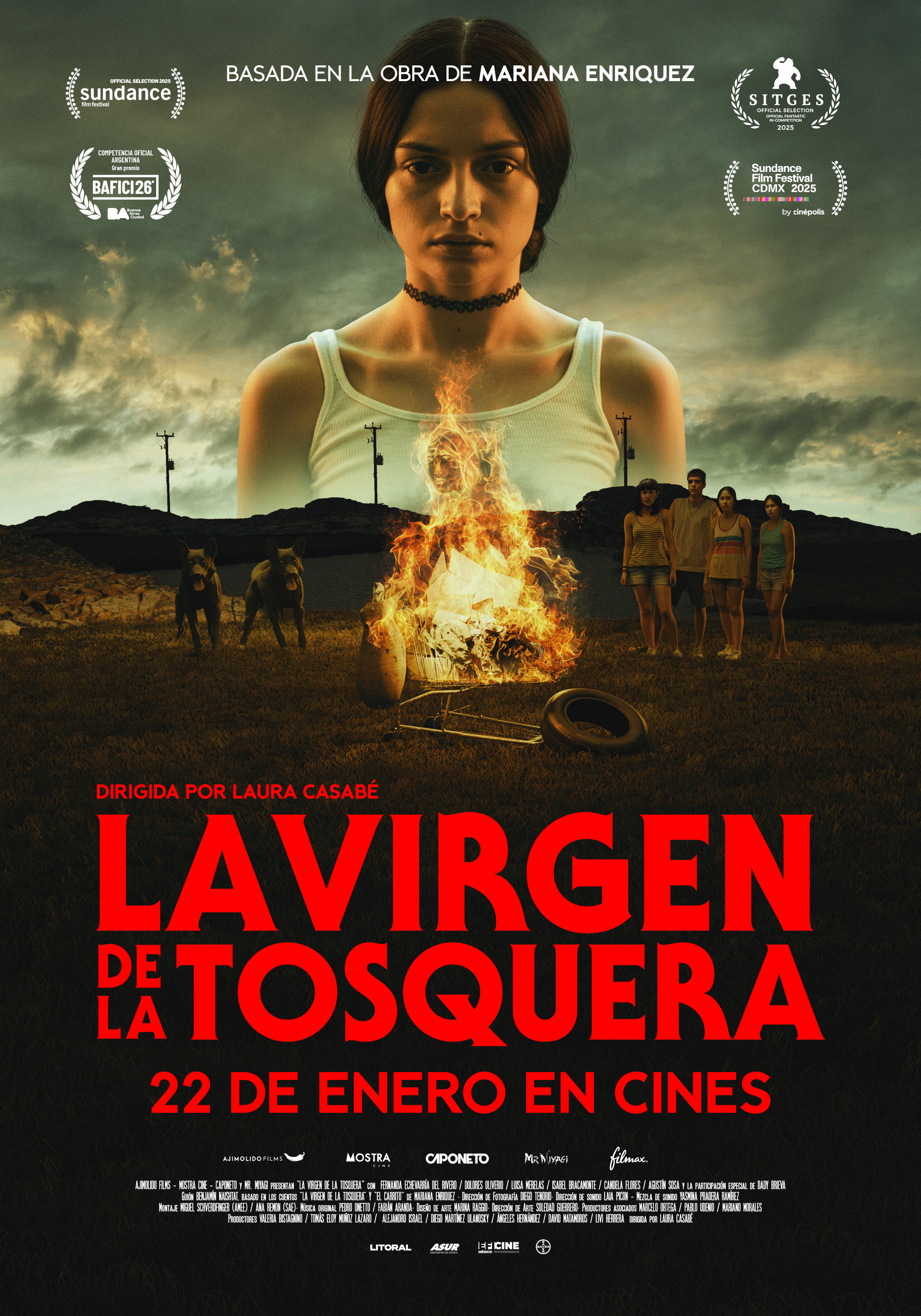 Mega Sized Movie Poster Image for The Virgin of the Quarry Lake (#4 of 4)