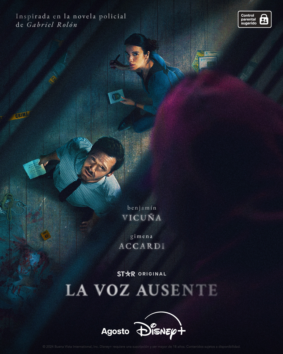 Extra Large TV Poster Image for La Voz Ausente (#1 of 4)