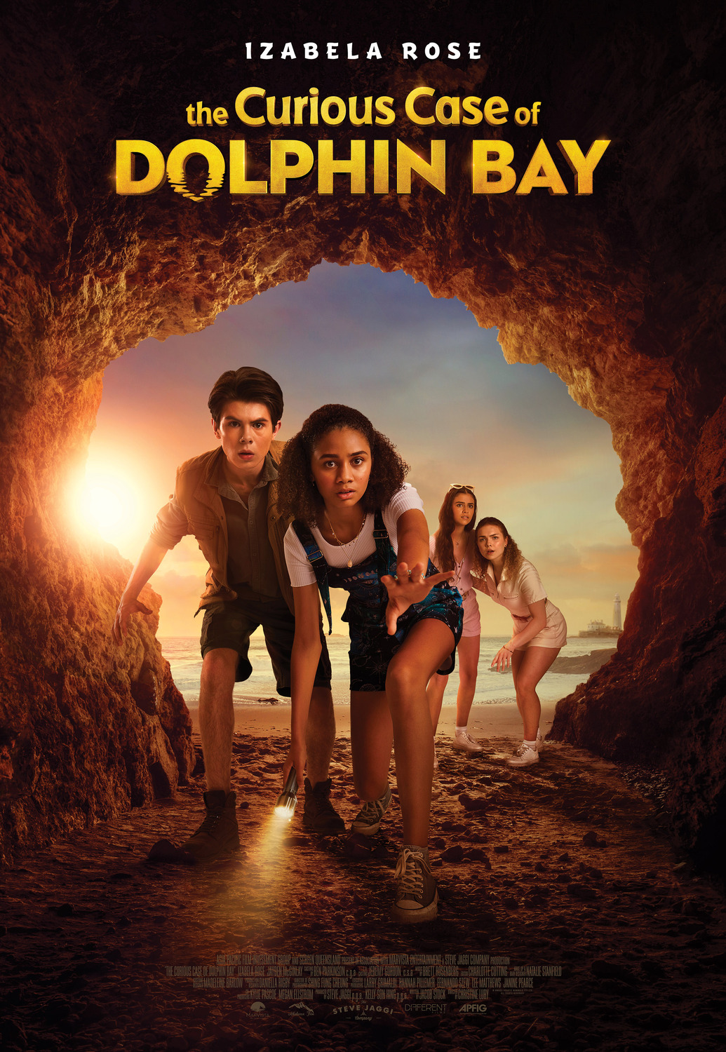 Extra Large Movie Poster Image for The Curious Case of Dolphin Bay 