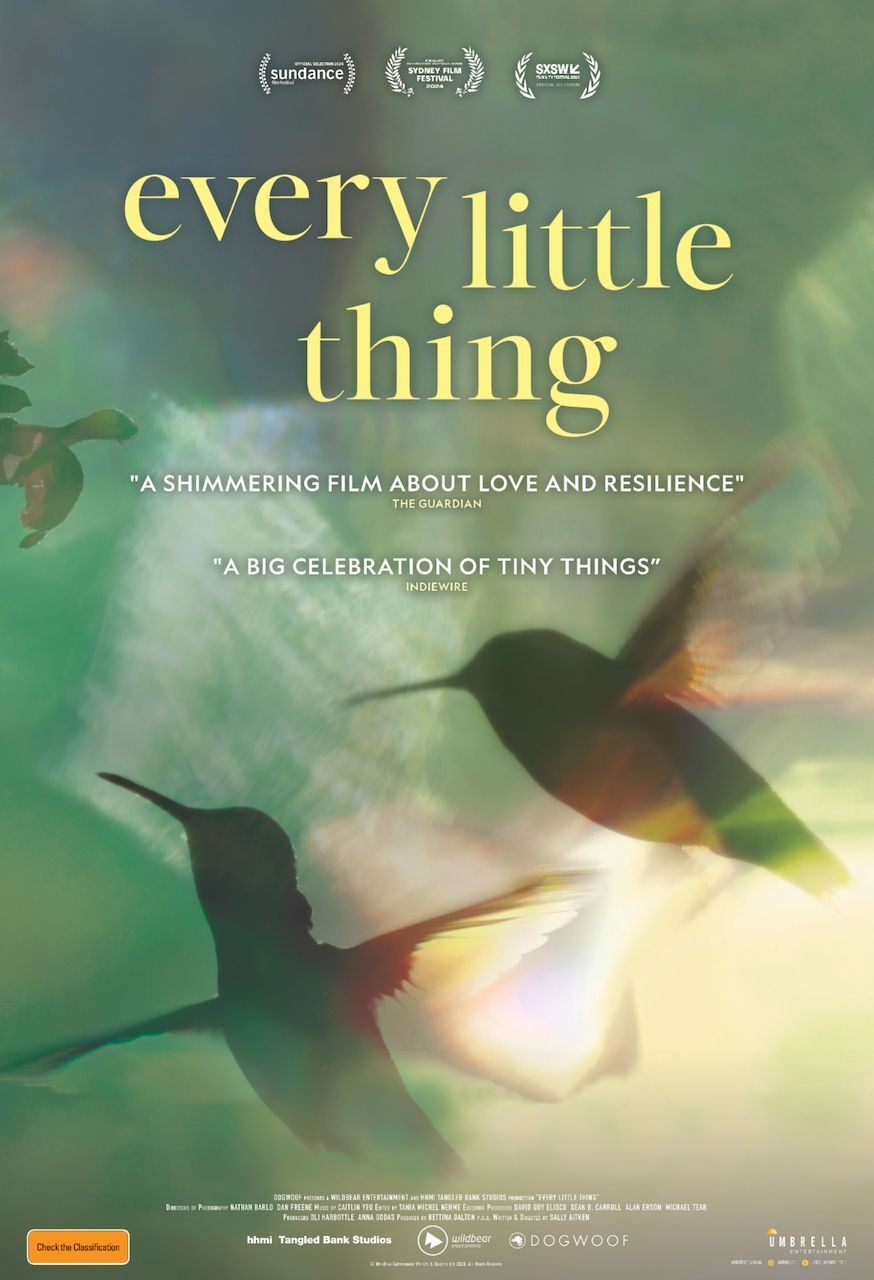 Extra Large Movie Poster Image for Every Little Thing (#2 of 3)