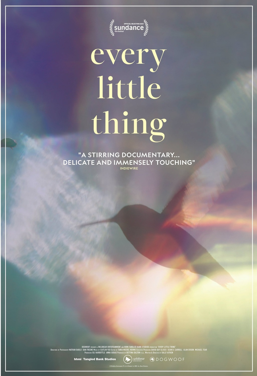 Extra Large Movie Poster Image for Every Little Thing (#1 of 3)