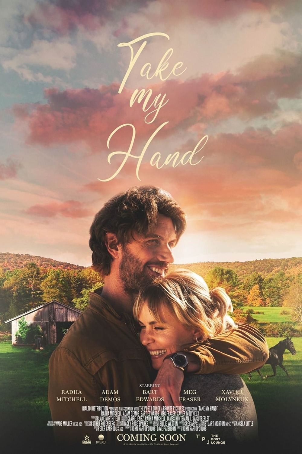 Extra Large Movie Poster Image for Take My Hand 