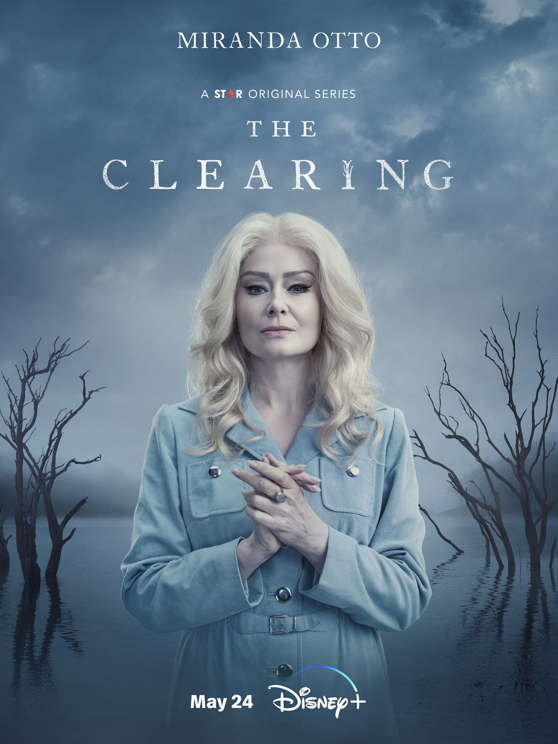 Extra Large TV Poster Image for The Clearing (#5 of 8)