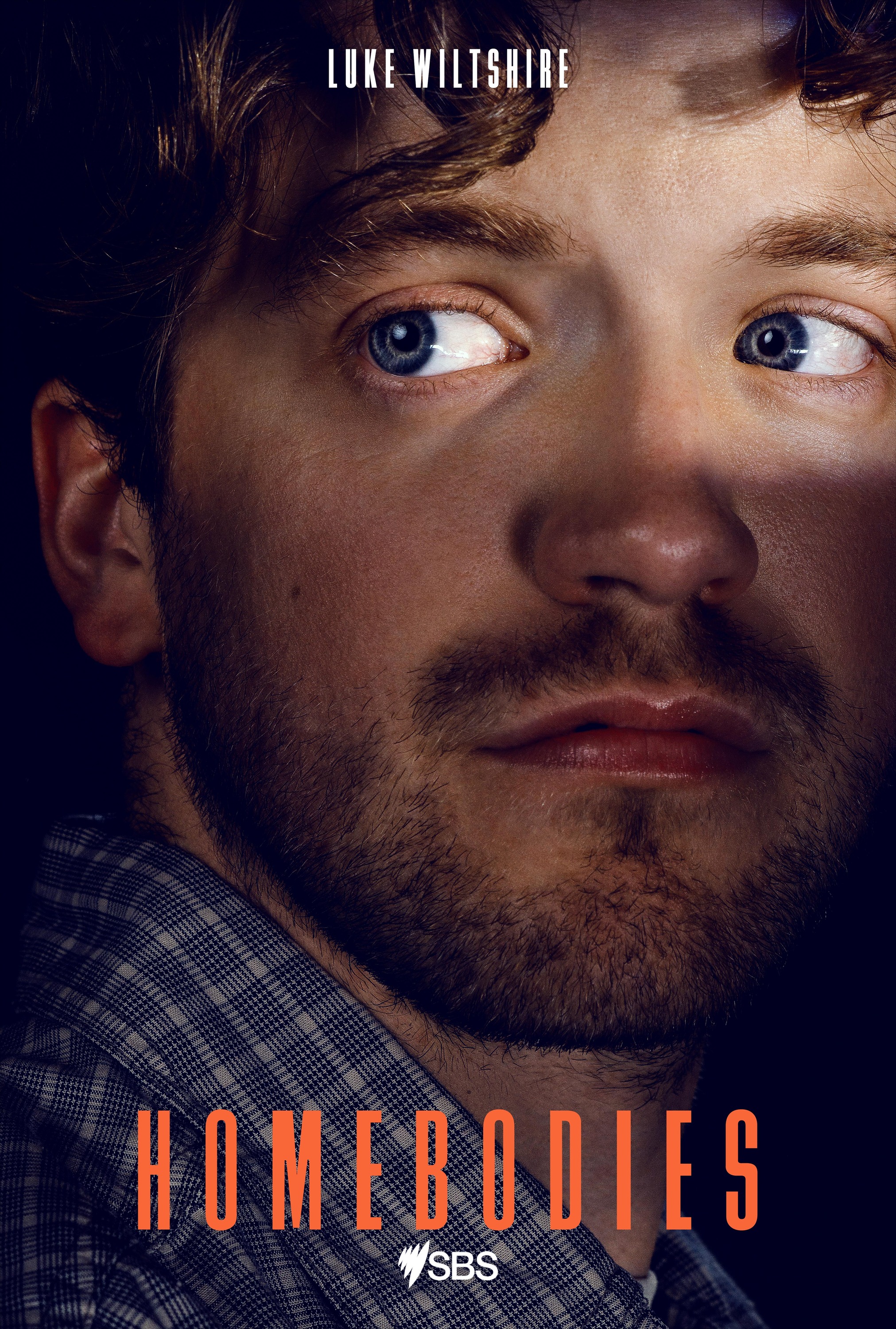 Mega Sized TV Poster Image for Homebodies (#3 of 5)