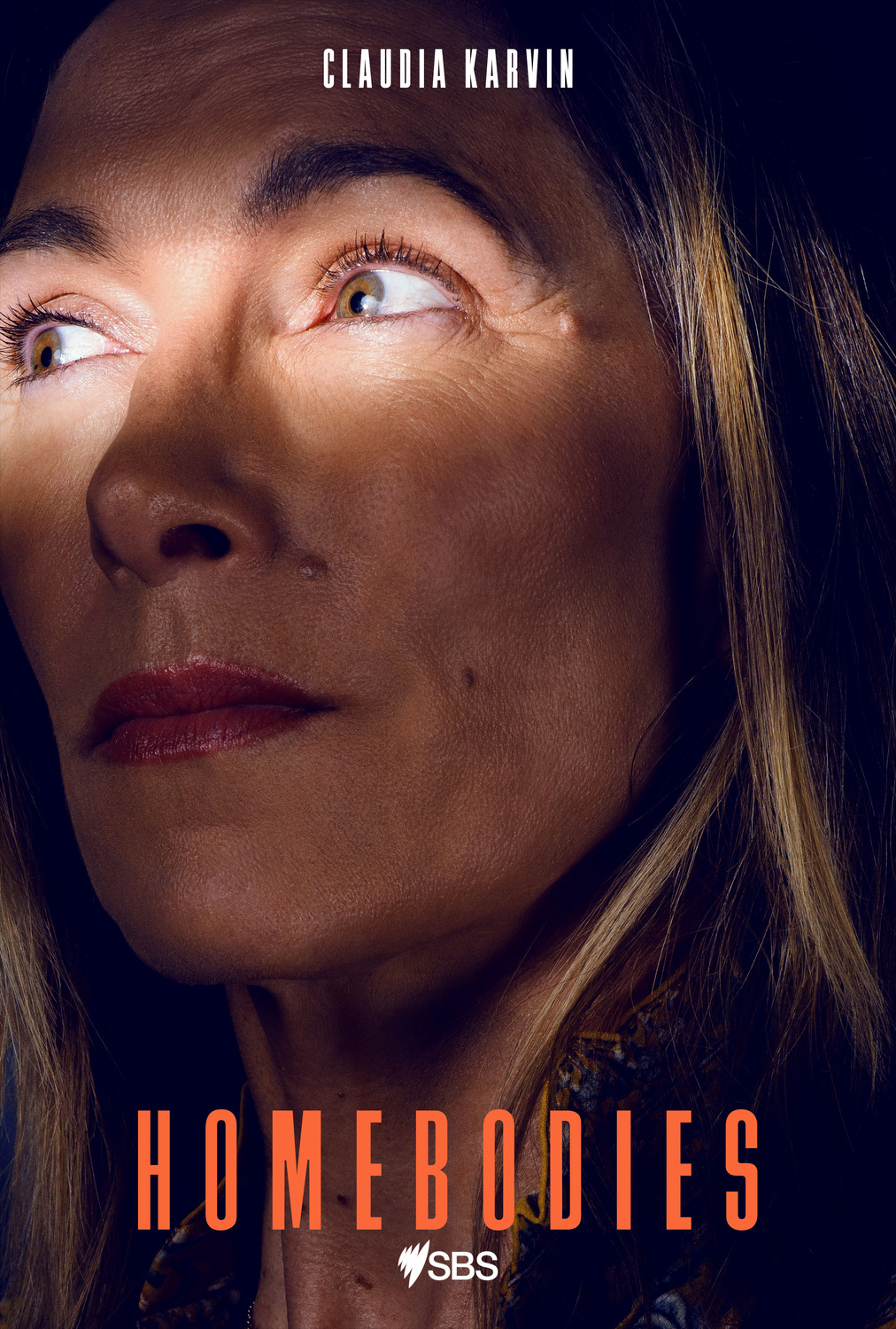 Extra Large TV Poster Image for Homebodies (#5 of 5)