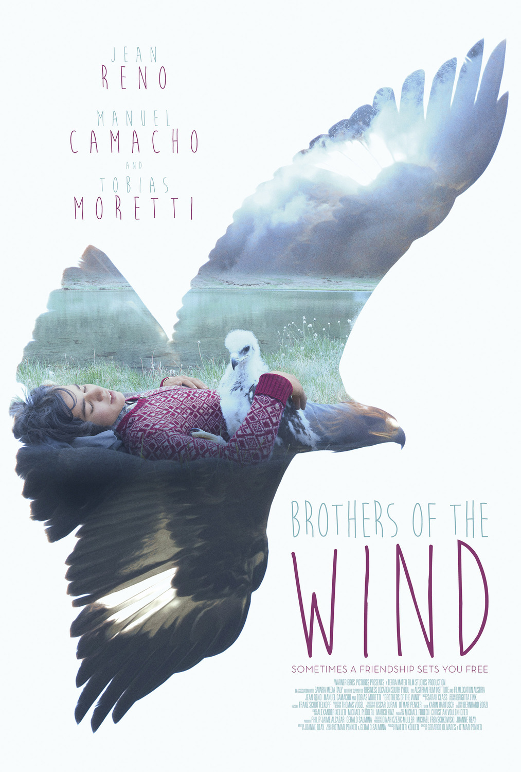 Extra Large Movie Poster Image for Brothers of the Wind 