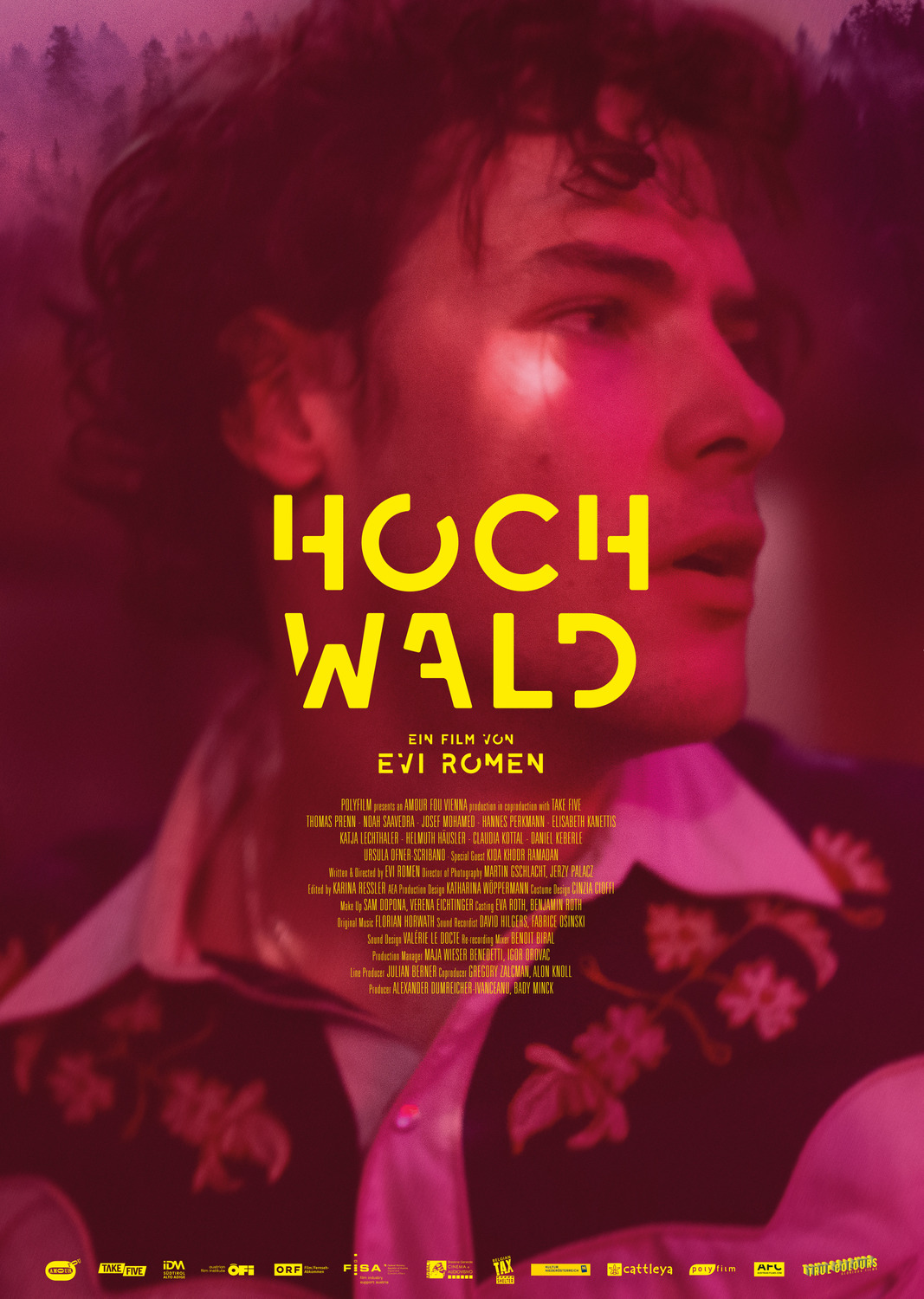 Extra Large Movie Poster Image for Hochwald 