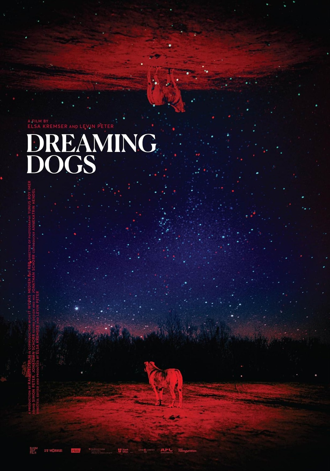 Extra Large Movie Poster Image for Dreaming Dogs 