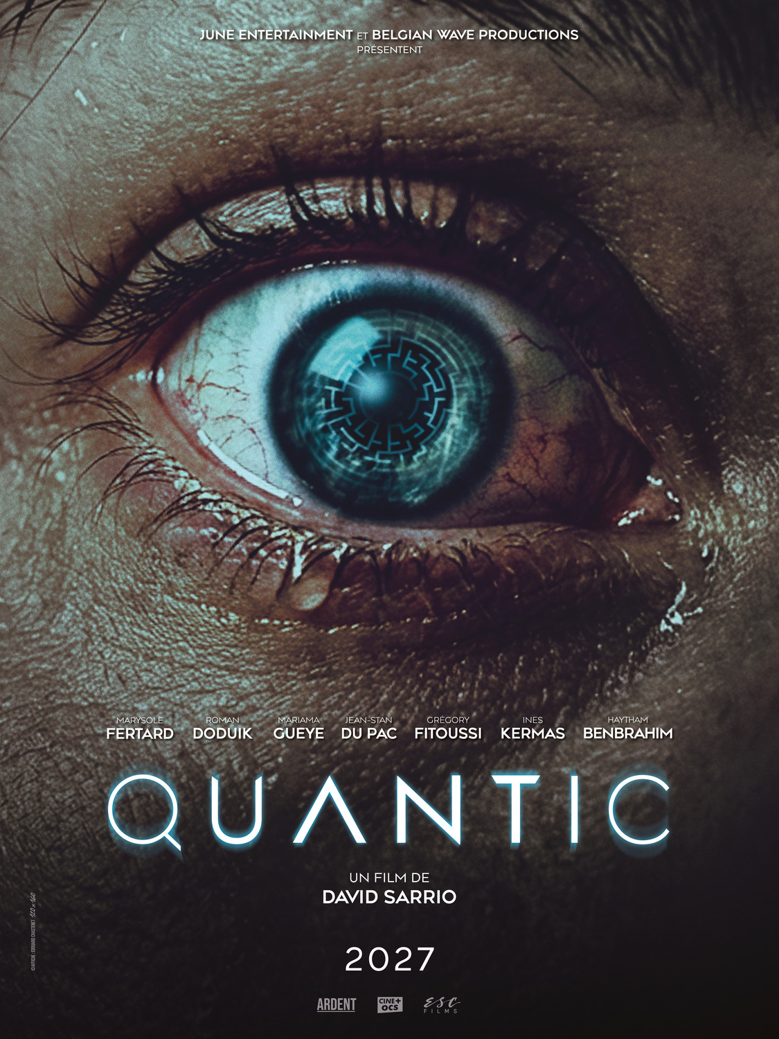 Extra Large Movie Poster Image for Quantic 
